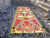 ��������� ����� �� �����-����